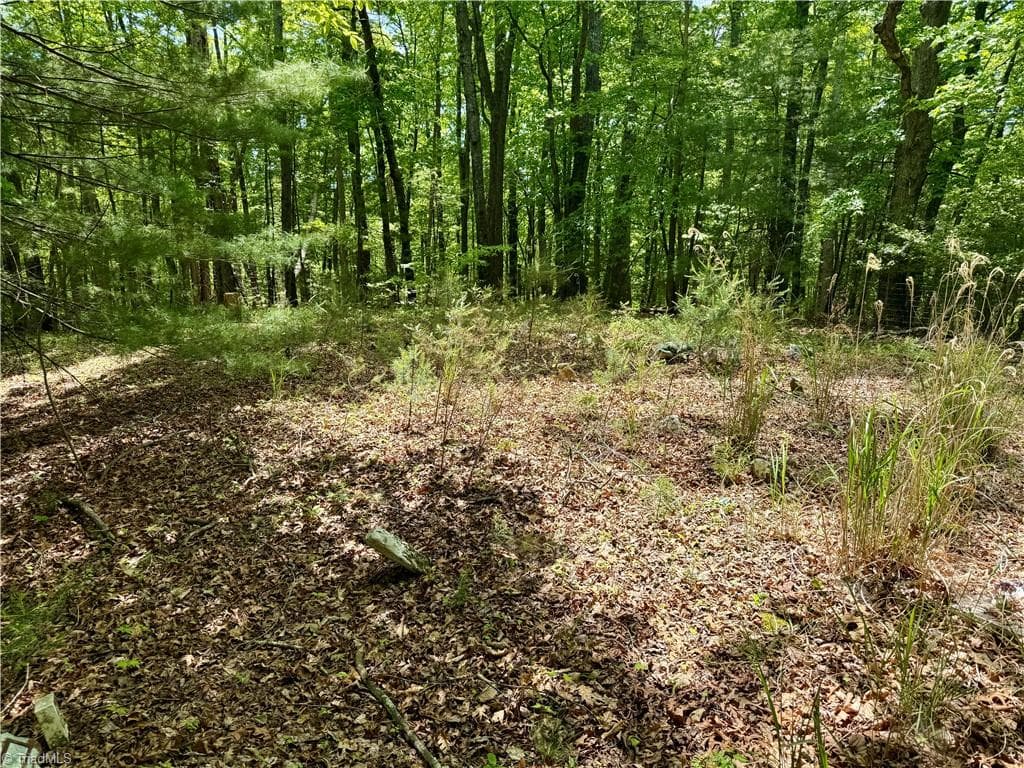 Unimproved Land at 0000 Ashe View Drive, Millers Creek NC 28651, photo 12 of 41