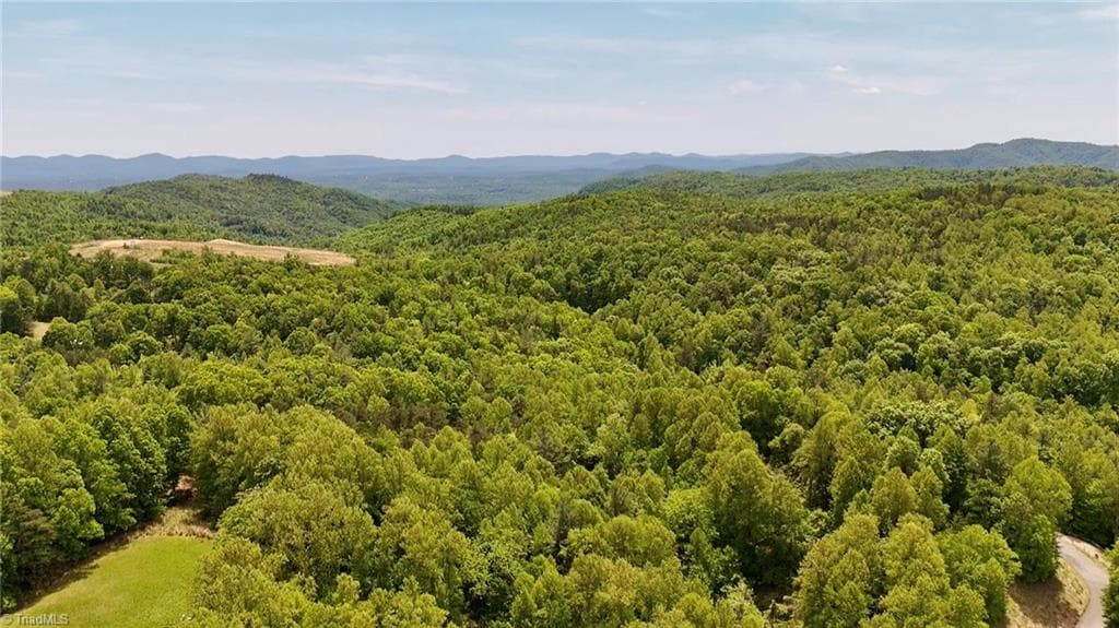 Unimproved Land at 0000 Ashe View Drive, Millers Creek NC 28651, photo 26 of 41