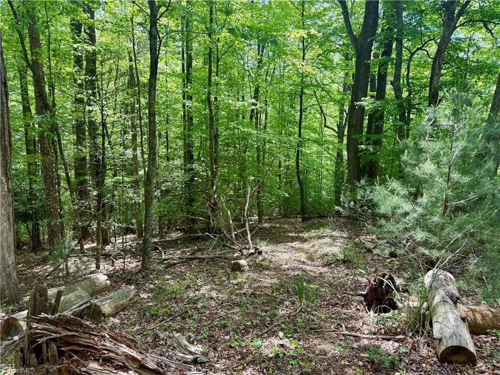 Unimproved Land at 0000 Ashe View Drive, Millers Creek NC 28651, photo 22 of 41