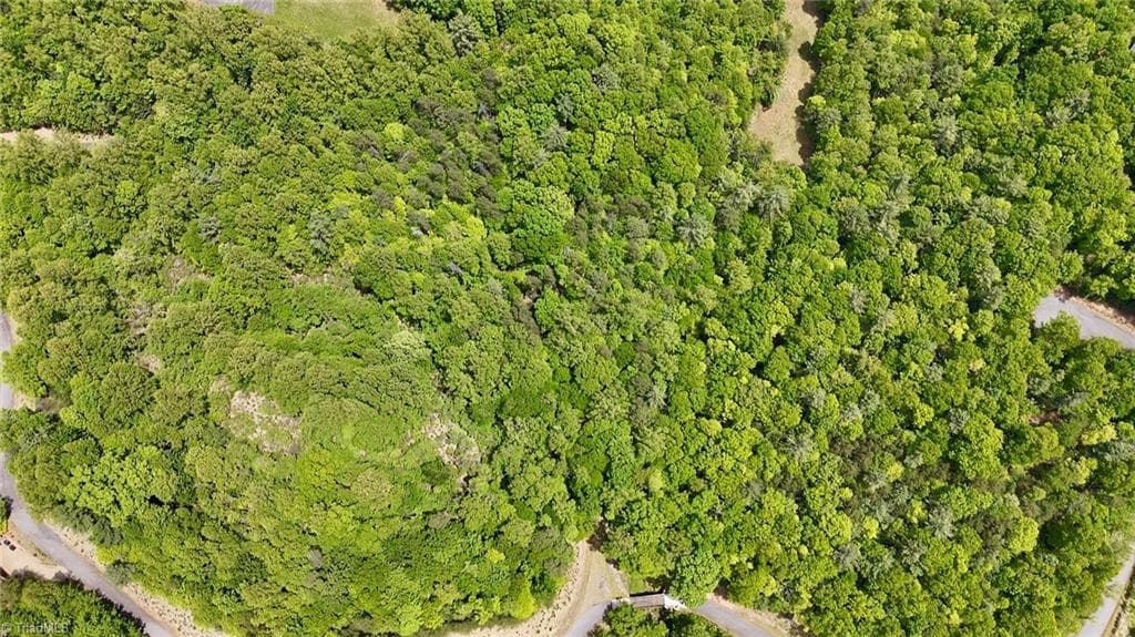 Unimproved Land at 0000 Ashe View Drive, Millers Creek NC 28651, photo 7 of 41