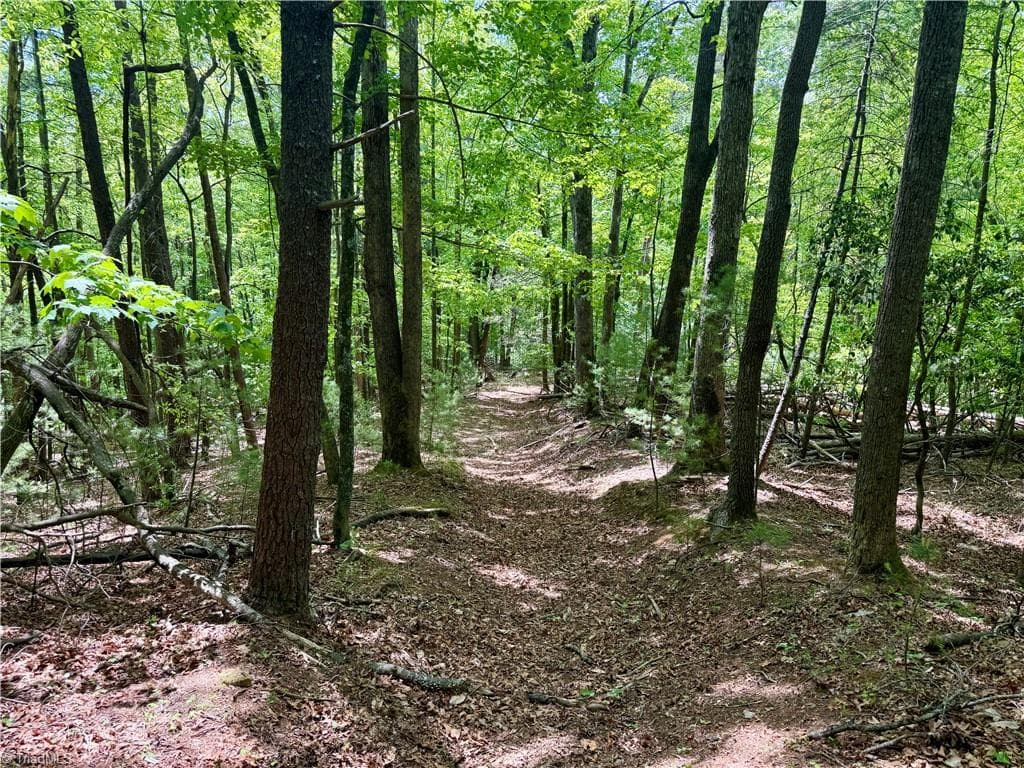 Unimproved Land at 0000 Ashe View Drive, Millers Creek NC 28651, photo 3 of 41