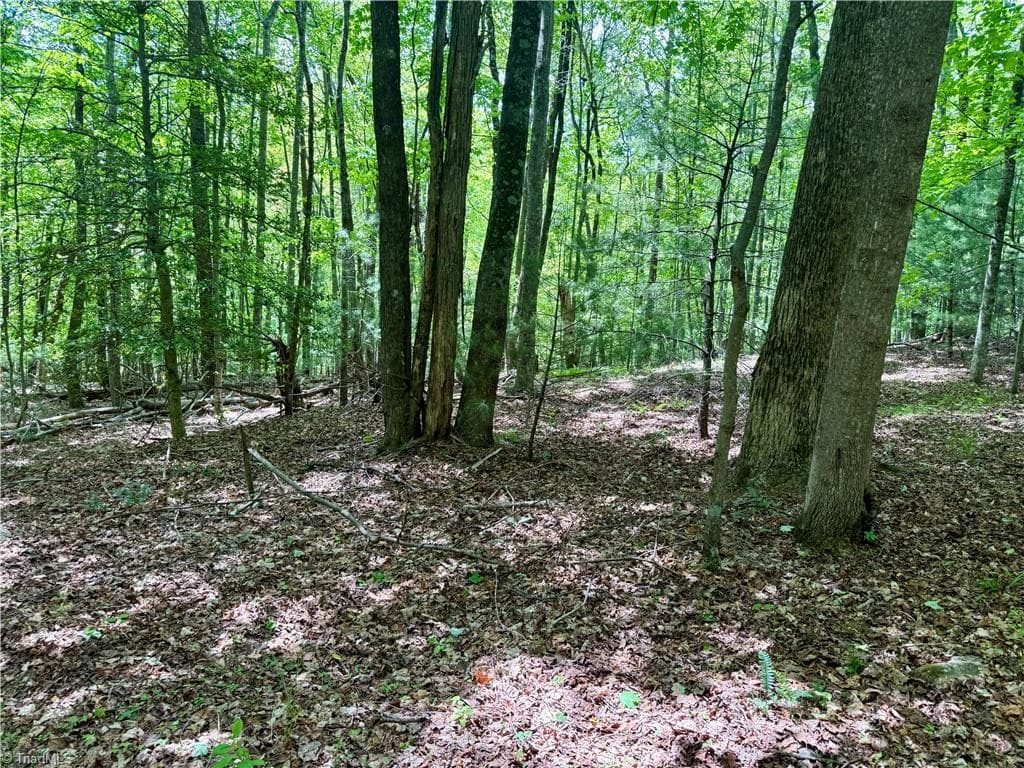 Unimproved Land at 0000 Ashe View Drive, Millers Creek NC 28651, photo 36 of 41