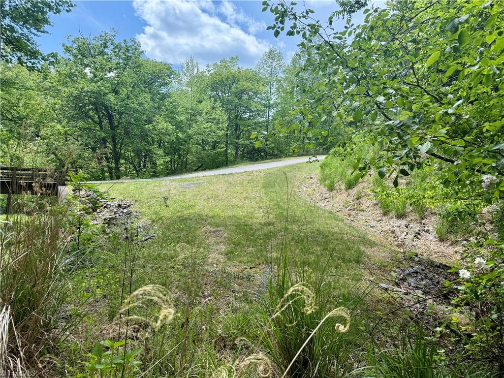 Unimproved Land at 0000 Ashe View Drive, Millers Creek NC 28651, photo 32 of 41