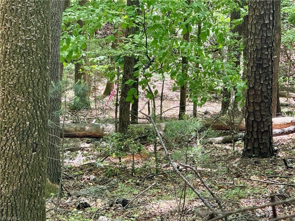 Unimproved Land at 0000 Ashe View Drive, Millers Creek NC 28651, photo 28 of 41