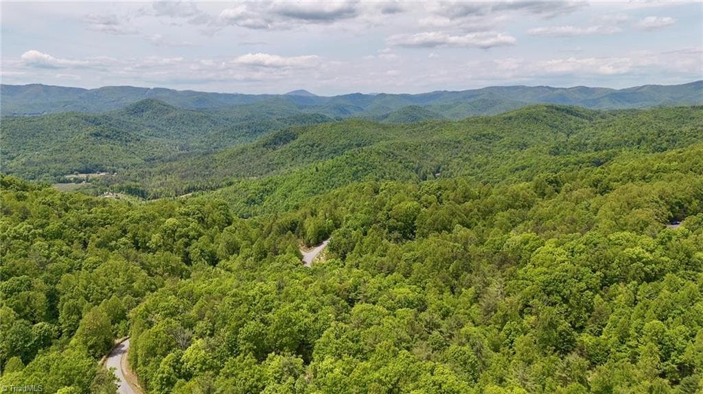 Unimproved Land at 0000 Ashe View Drive, Millers Creek NC 28651, photo 20 of 41