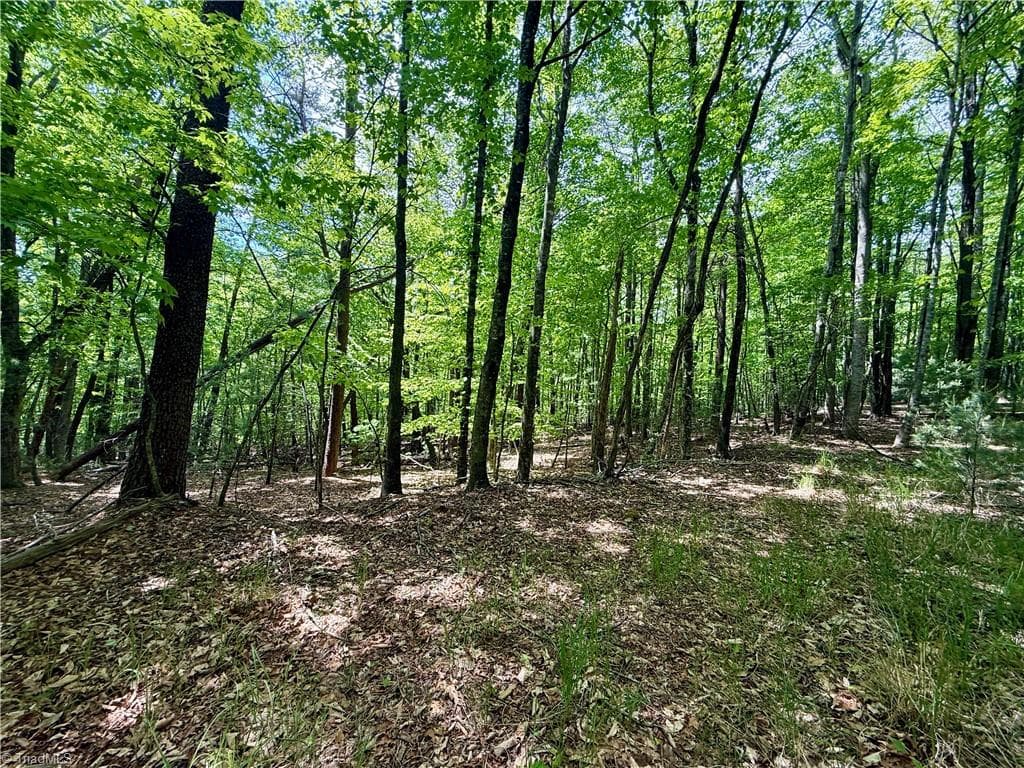 Unimproved Land at 0000 Ashe View Drive, Millers Creek NC 28651, photo 9 of 41