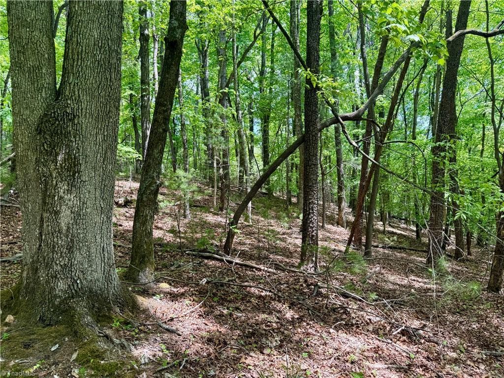 Unimproved Land at 0000 Ashe View Drive, Millers Creek NC 28651, photo 24 of 41