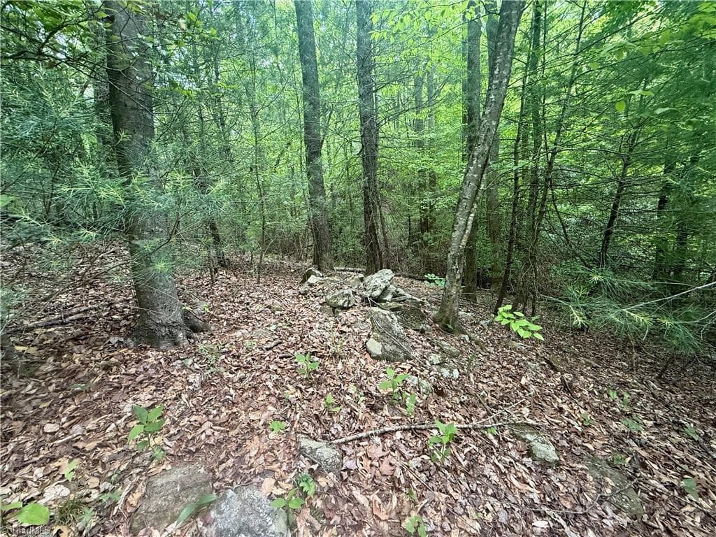 Unimproved Land at 0000 Ashe View Drive, Millers Creek NC 28651, photo 30 of 41