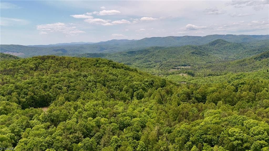 Unimproved Land at 0000 Ashe View Drive, Millers Creek NC 28651, photo 34 of 41