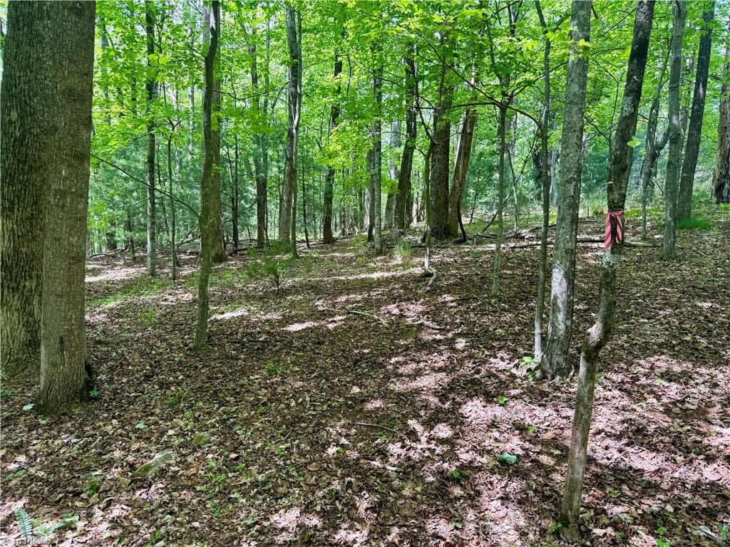 Unimproved Land at 0000 Ashe View Drive, Millers Creek NC 28651, photo 38 of 41