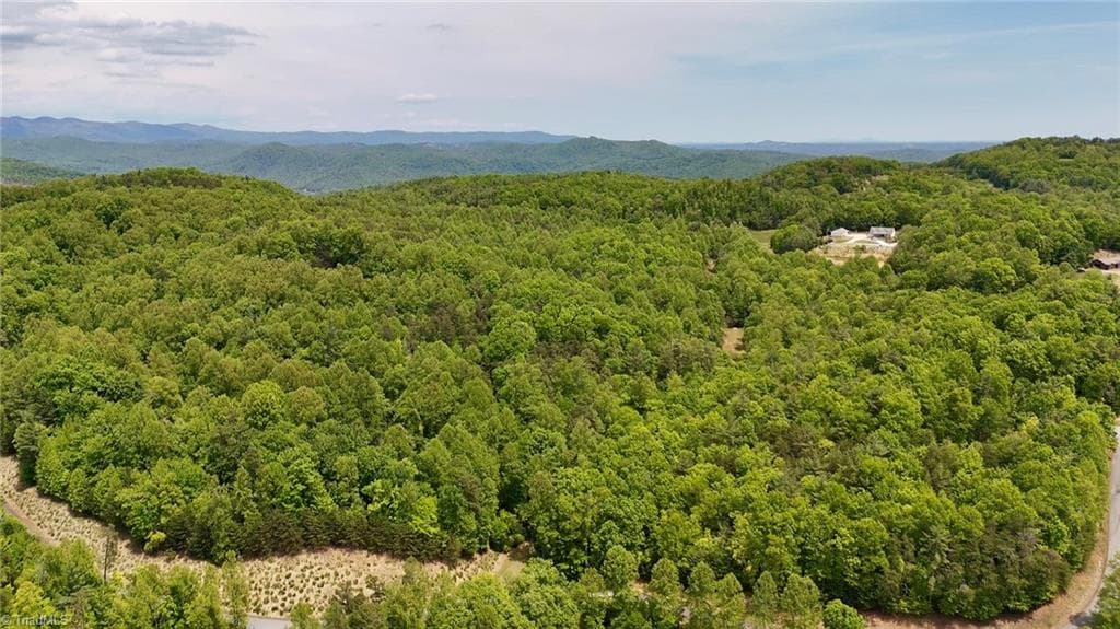 Unimproved Land at 0000 Ashe View Drive, Millers Creek NC 28651, photo 10 of 41