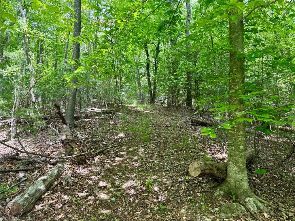 Unimproved Land at 0000 Ashe View Drive, Millers Creek NC 28651, photo 33 of 41