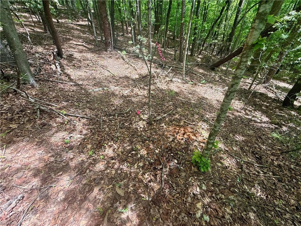 Unimproved Land at 0000 Ashe View Drive, Millers Creek NC 28651, photo 18 of 41