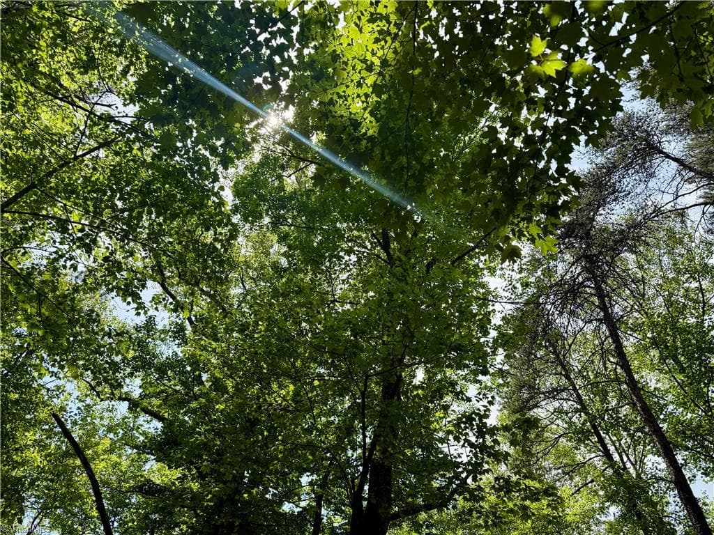 Unimproved Land at 0000 Ashe View Drive, Millers Creek NC 28651, photo 11 of 41