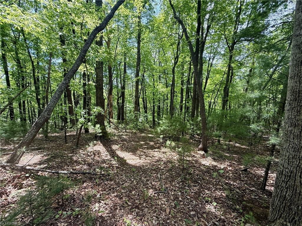 Unimproved Land at 0000 Ashe View Drive, Millers Creek NC 28651, photo 19 of 41