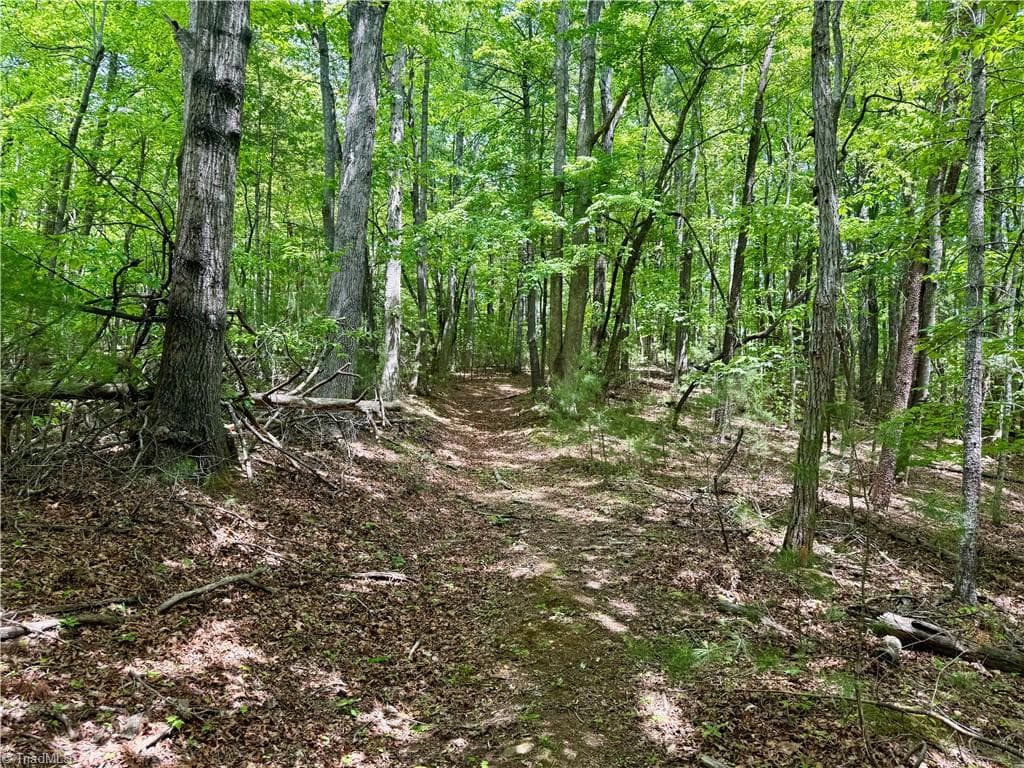 Unimproved Land at 0000 Ashe View Drive, Millers Creek NC 28651, photo 35 of 41