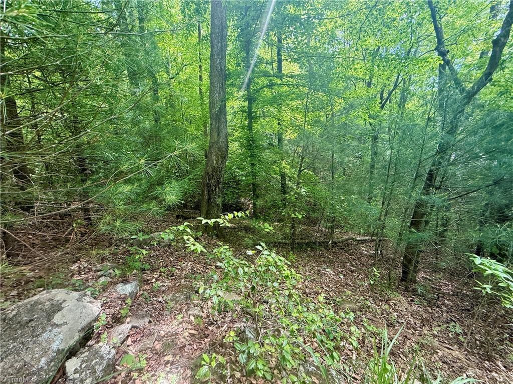 Unimproved Land at 0000 Ashe View Drive, Millers Creek NC 28651, photo 31 of 41