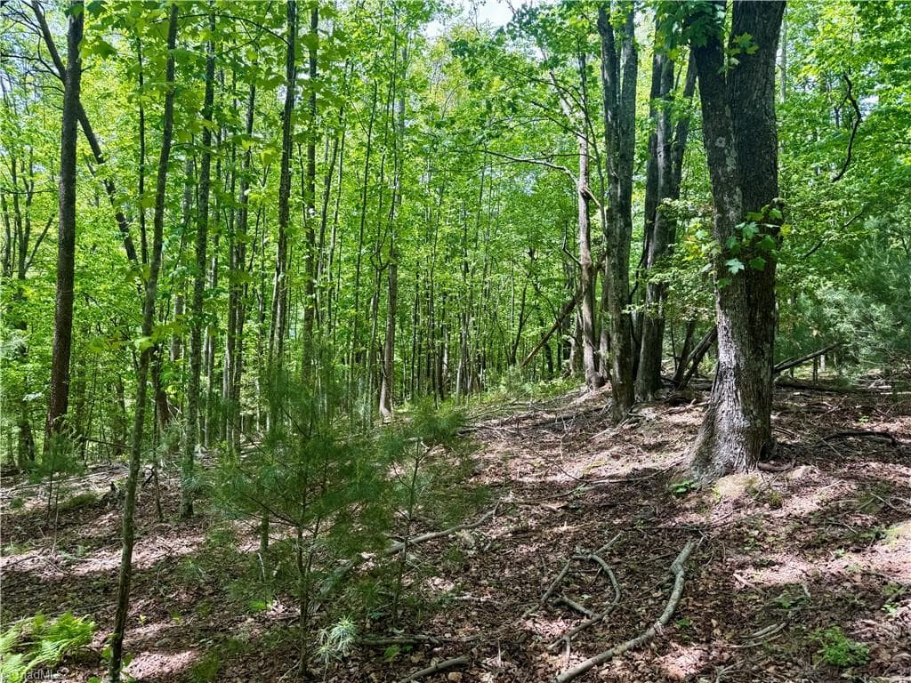 Unimproved Land at 0000 Ashe View Drive, Millers Creek NC 28651, photo 39 of 41