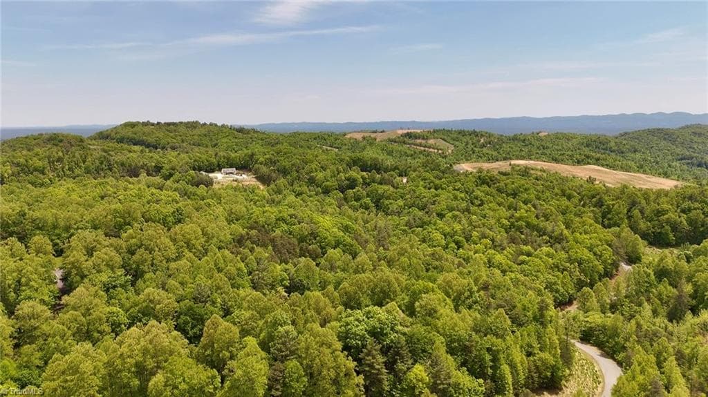Unimproved Land at 0000 Ashe View Drive, Millers Creek NC 28651, photo 29 of 41
