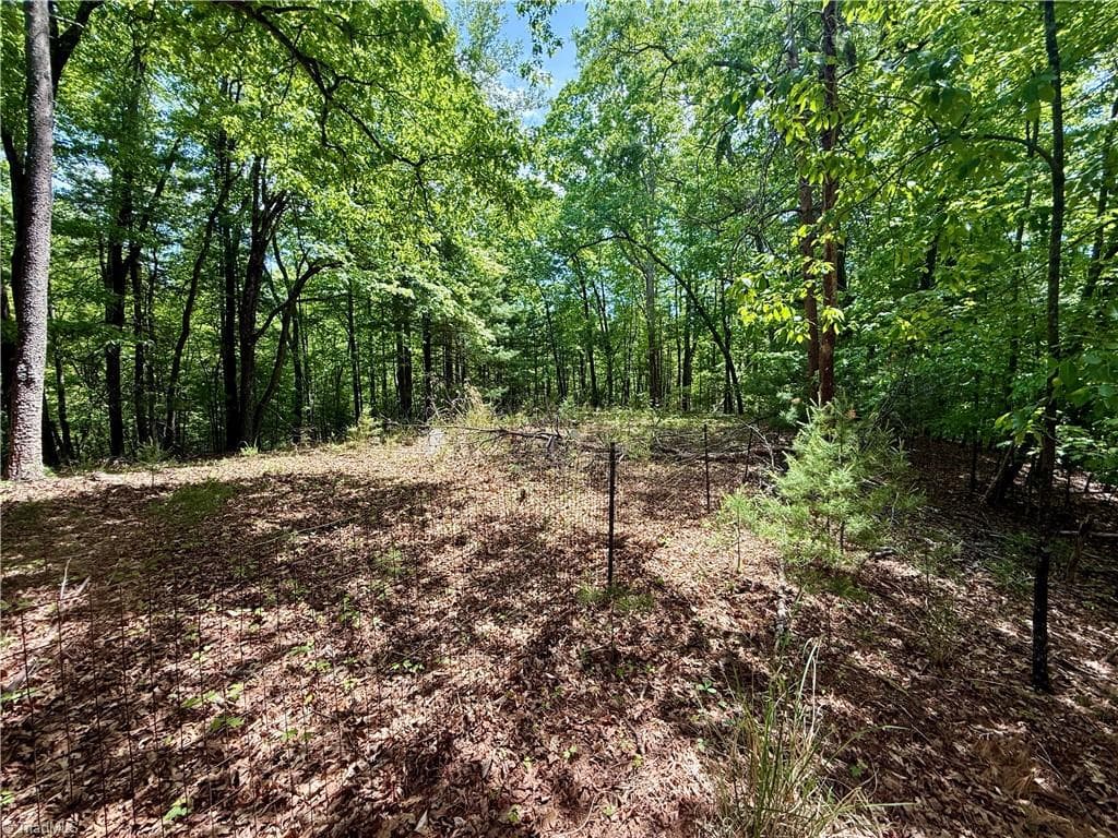Unimproved Land at 0000 Ashe View Drive, Millers Creek NC 28651, photo 8 of 41