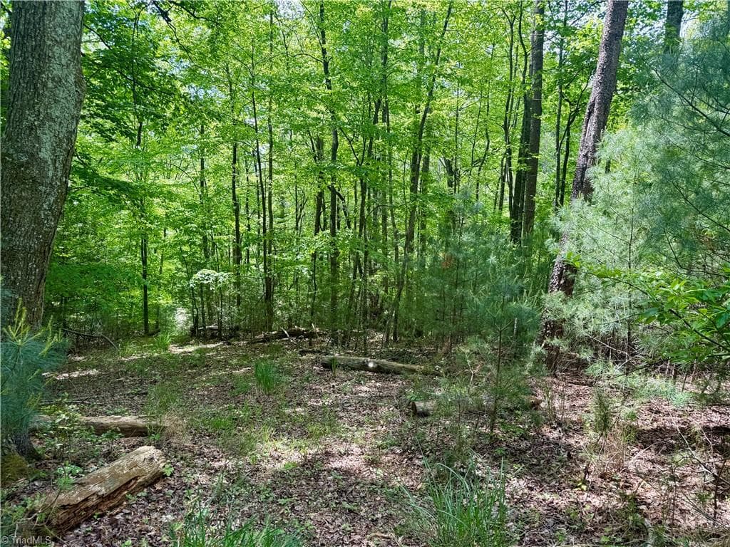 Unimproved Land at 0000 Ashe View Drive, Millers Creek NC 28651, photo 25 of 41