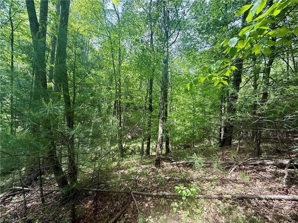 Unimproved Land at 0000 Ashe View Drive, Millers Creek NC 28651, photo 21 of 41