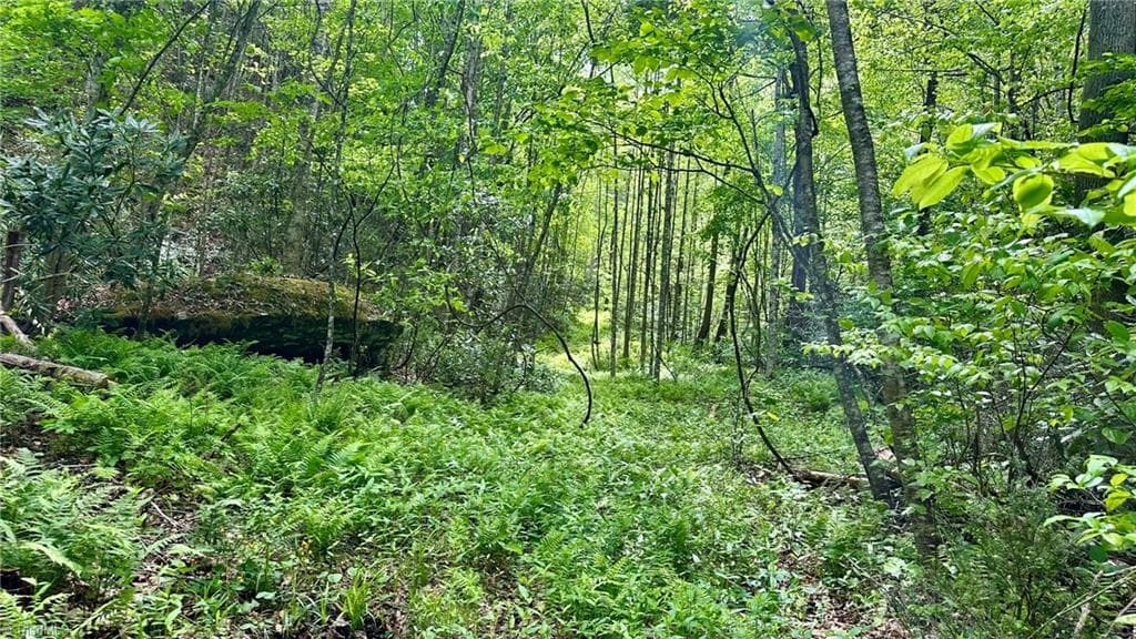 Unimproved Land at 000 N Old NC Highway 16, Millers Creek NC 28651, photo 17 of 20