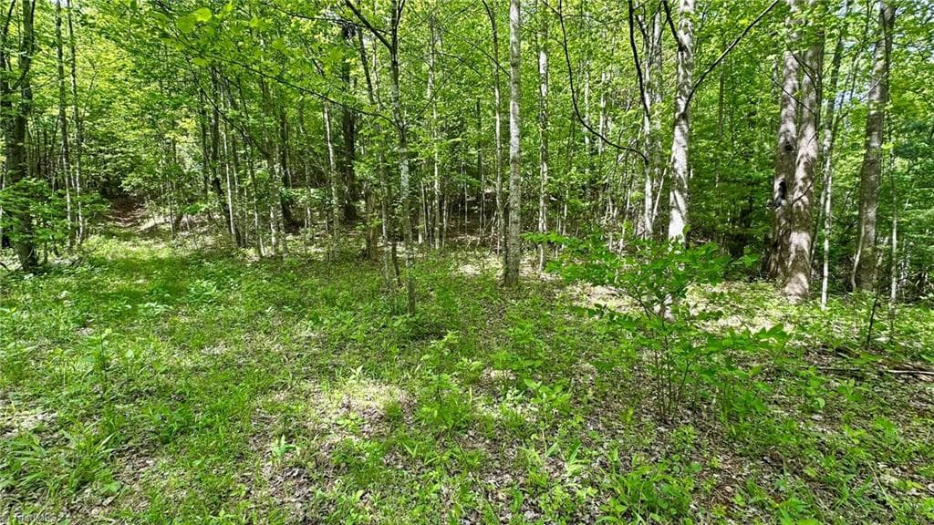 Unimproved Land at 000 N Old NC Highway 16, Millers Creek NC 28651, photo 5 of 20