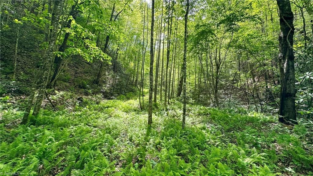 Unimproved Land at 000 N Old NC Highway 16, Millers Creek NC 28651, photo 4 of 20