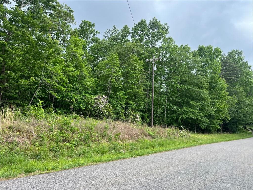 0 Gillespie Street, Dobson NC 27017