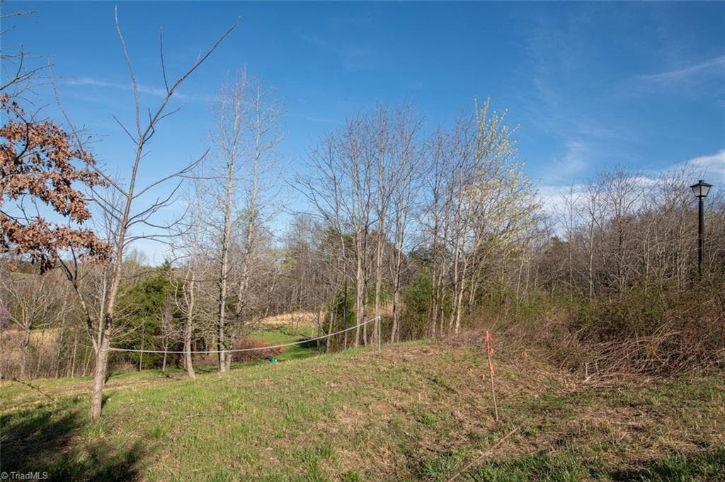 Unimproved Land at Lot 38 Lake Shore Drive, Yanceyville NC 27379, Yanceyville, photo 25 of 38