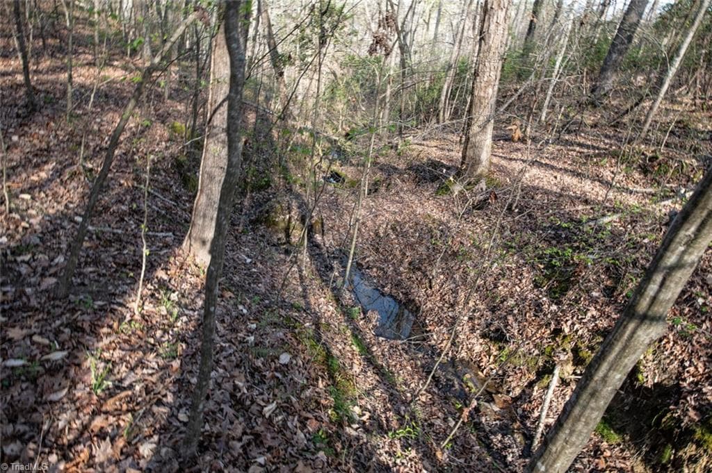 Unimproved Land at Lot 38 Lake Shore Drive, Yanceyville NC 27379, Yanceyville, photo 33 of 38