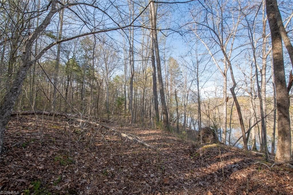Unimproved Land at Lot 38 Lake Shore Drive, Yanceyville NC 27379, Yanceyville, photo 23 of 38