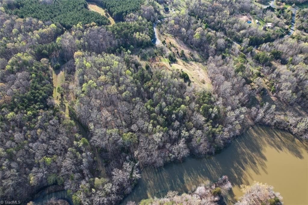 Unimproved Land at Lot 38 Lake Shore Drive, Yanceyville NC 27379, Yanceyville, photo 13 of 38