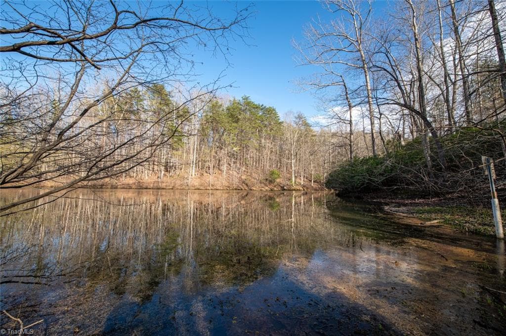 Unimproved Land at Lot 38 Lake Shore Drive, Yanceyville NC 27379, Yanceyville, photo 5 of 38