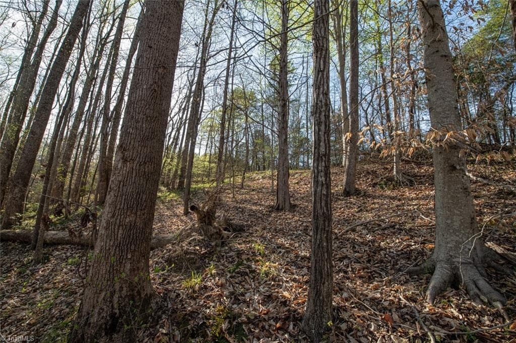 Unimproved Land at Lot 38 Lake Shore Drive, Yanceyville NC 27379, Yanceyville, photo 35 of 38