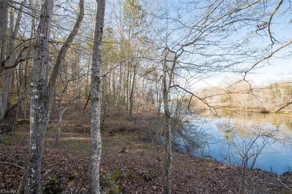 Unimproved Land at Lot 38 Lake Shore Drive, Yanceyville NC 27379, Yanceyville, photo 29 of 38