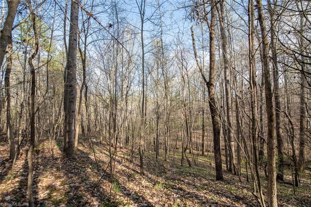 Unimproved Land at Lot 38 Lake Shore Drive, Yanceyville NC 27379, Yanceyville, photo 21 of 38