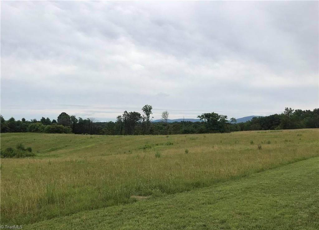 Unimproved Land at 0 NC Highway 89, Francisco NC 27053, photo 5 of 6