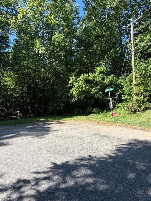 Unimproved Land at 0 Partridge Drive, Lexington NC 27292, photo 7 of 11