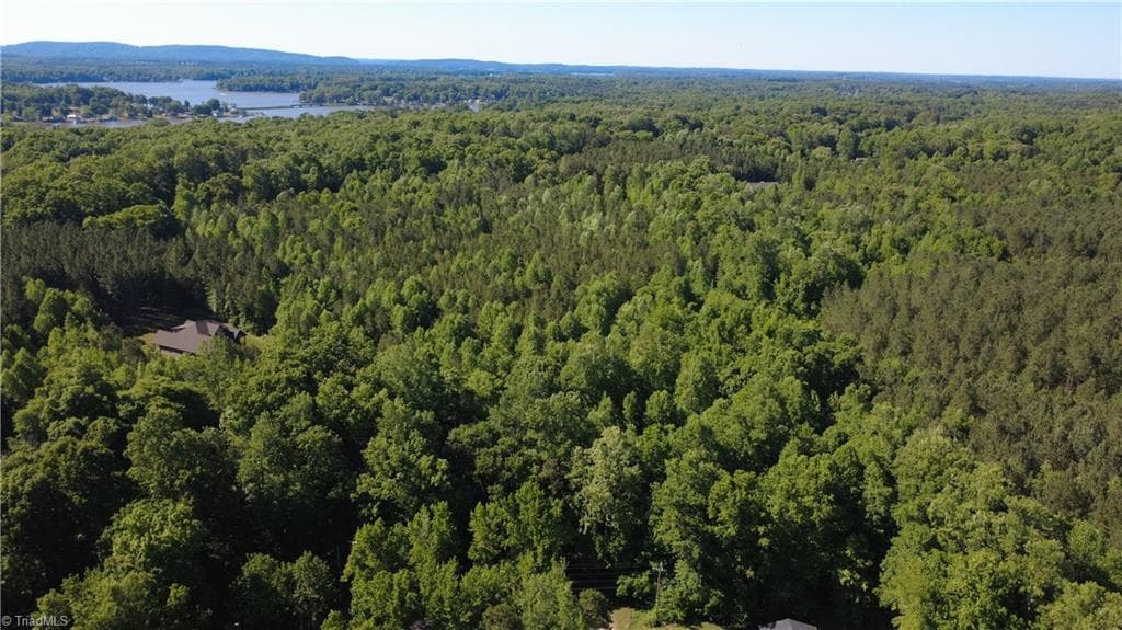Unimproved Land at 0 Partridge Drive, Lexington NC 27292, photo 5 of 11
