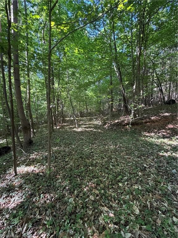 Unimproved Land at 0 Partridge Drive, Lexington NC 27292, photo 9 of 11
