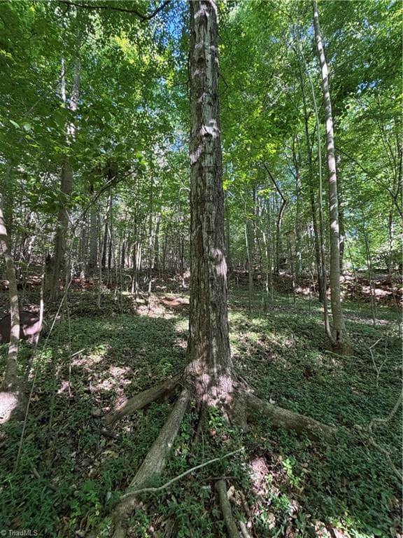 Unimproved Land at 0 Partridge Drive, Lexington NC 27292, photo 10 of 11