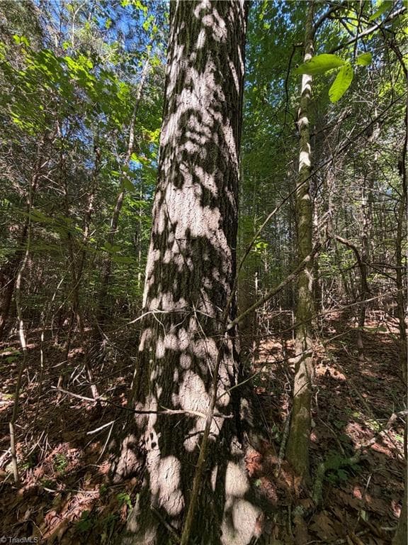 Unimproved Land at 0 Partridge Drive, Lexington NC 27292, photo 11 of 11