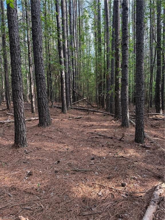Stick/Site Built at 851 Case School Road, Mayodan NC 27027, photo 50 of 50