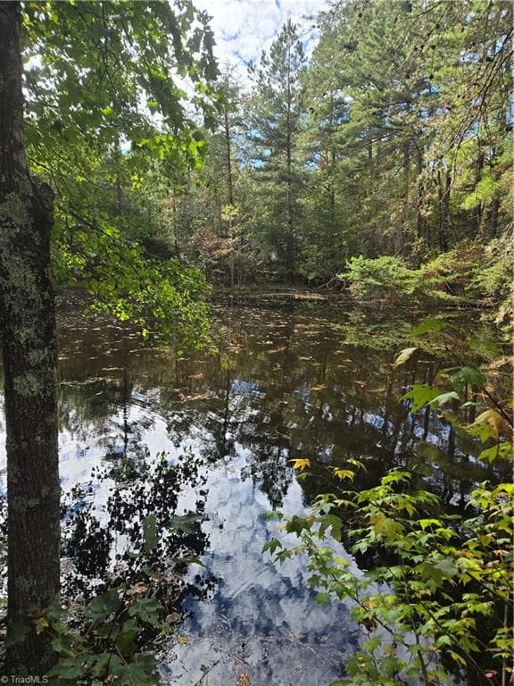 Unimproved Land at 0 Bass Mountain Road, Snow Camp NC 27349, photo 6 of 10