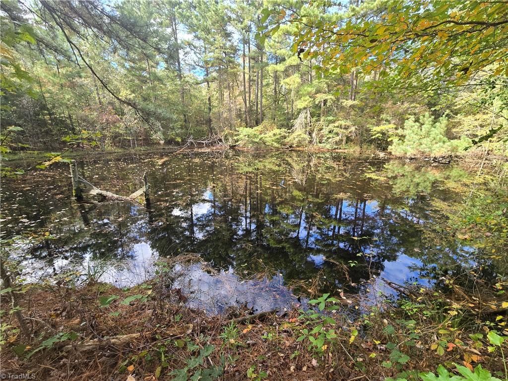 Unimproved Land at 0 Bass Mountain Road, Snow Camp NC 27349, photo 7 of 10