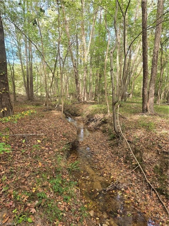 Unimproved Land at 0 Bass Mountain Road, Snow Camp NC 27349, photo 5 of 10