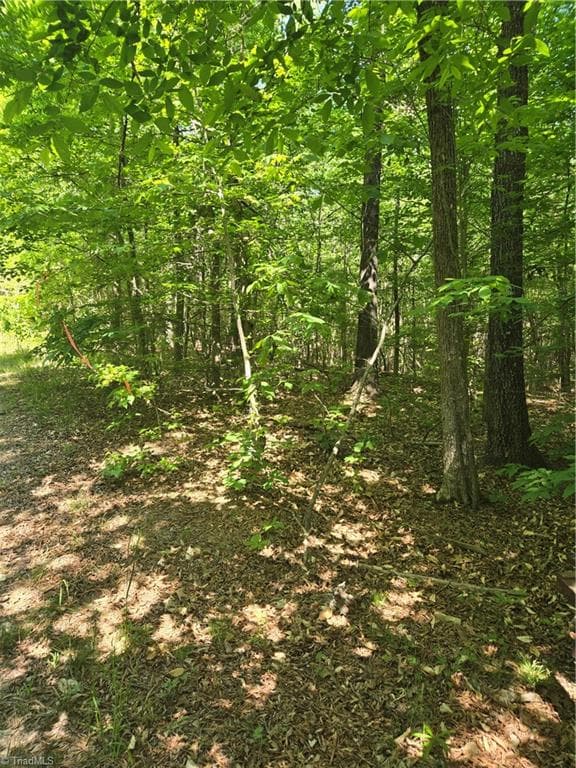 Unimproved Land at 0 Bass Mountain Road, Snow Camp NC 27349, photo 9 of 10