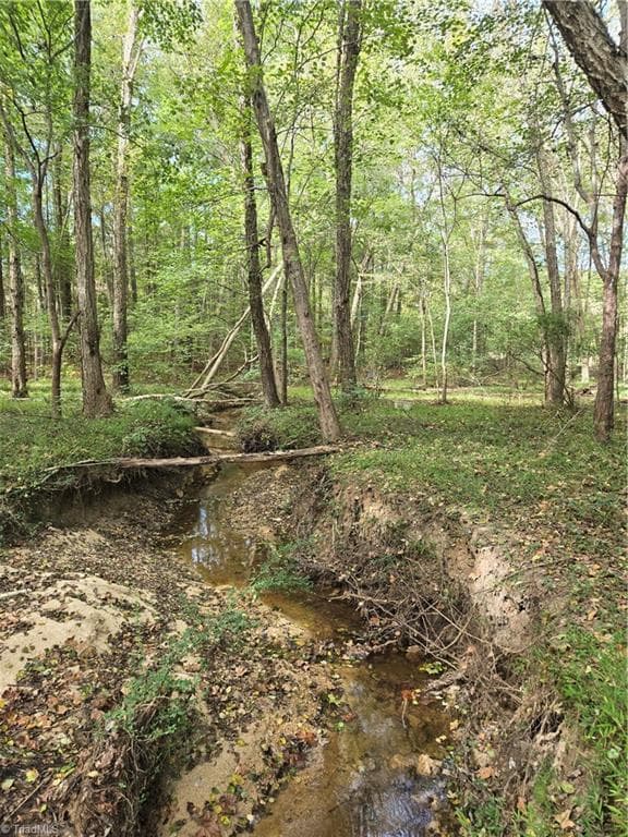 Unimproved Land at 0 Bass Mountain Road, Snow Camp NC 27349, photo 4 of 10